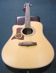 Tanglewood TW 15 C B