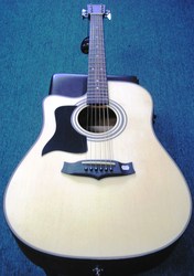 Tanglewood TW 28 CE N