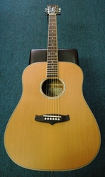 Tanglewood TW28CSN Acoustic Guitar