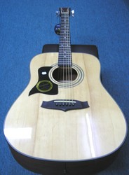 Tanglewood TW 28 ST USA