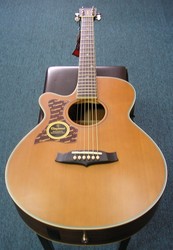 Tanglewood TW45 NS B