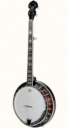 Tanglewood Banjo