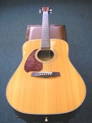 Ibanez Acoustic Guitar