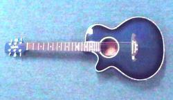Vester VDS71 Acoustic Electric Guitar