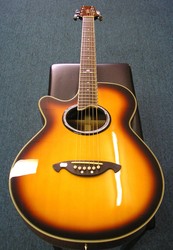 Vester VSS61 Acoustic Electric Guitar.