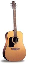 Walden Acoustic Guitar