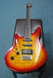 Washburn BT4