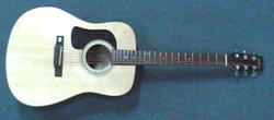 Washburn D10 Acoustic Guitar