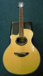 Yamaha APX700