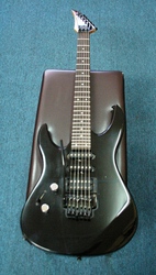 Yamaha RGX 312