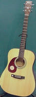 Cort AJ860 Acoustic Guitar