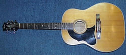 Maton CW100