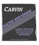 Bass Strings