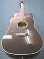 Aria Acoustic Guitar