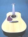 Cort Acoustic Electric Guitar