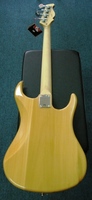 AP800N