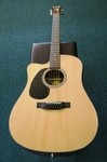 Blueridge Acoustic Electric Guitar and Case