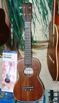 Cordoba Concert Ukulele
