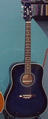 CORT AJ870 Acoustic Guitar