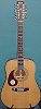Cort Acoustic 12 String Guitar