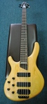 Cort Artisan 5 string Bass