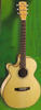 Cort Small Body Acoustic Electric Guitar