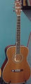CORT EARTH 200 GC