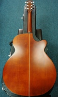 CSF1AEu