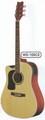 Washburn WD10SCE