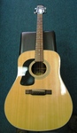 Washburn D10S