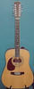DAION 12 STRING GUITAR