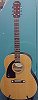 Epiphone Acoustic Guitar AJ18S