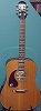 Epiphone Solid Top Acoustic Guitar PR350S