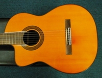ED36Dr