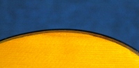 ED36Dr