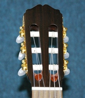 ED36Dr