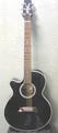 Takamine Acoustic Electric Guitar