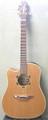 Takamine EN10C Acoustic Electric Guitar