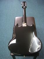 EPISG310