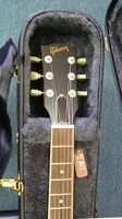 ES333N