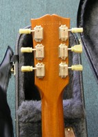 ES333N