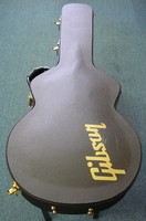 ES333N