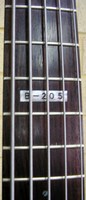 ESP205