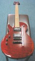 ESP LEC 100
