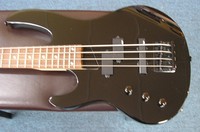 ESP LB 50