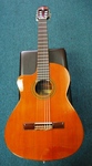 Esteve 3ECE Classical/Electric Guitar