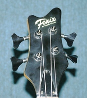 FBAct