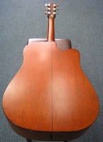 FDG10