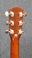FDG10