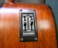 FDG10